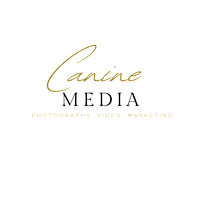 CANINE / DIGITAL FILES READY FOR DOWNLOAD-photos