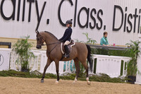 76 Hunter Seat Equitation Walk Trot 10 & Under
