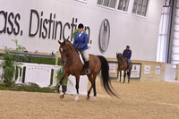 77 HA/AA Hunter Pleasure AATR 40 & Over