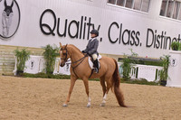 79 Hunter Pleasure Walk/Trot 10 & Under