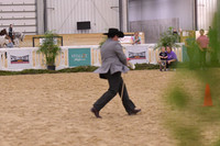 79b Stick Horse Free Download