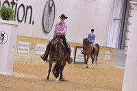 84 HA/AA Western Pleasure Open