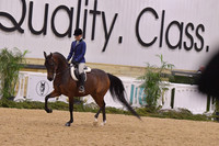 86 Arabian Hunter Pleasure JTR