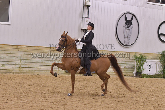 088_8641
