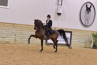 90 Arabian Park Horse Open