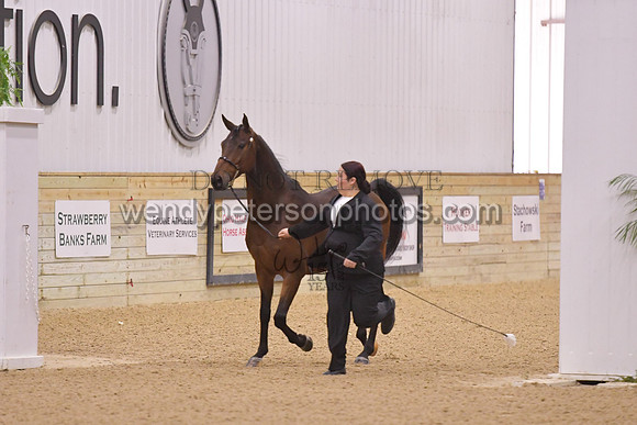 091_8782HighRes300dpi_PRINTto20%22