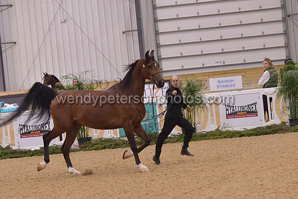 091_8778HighRes300dpi_PRINTto20%22