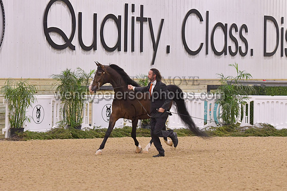 091_8790HighRes300dpi_PRINTto20%22