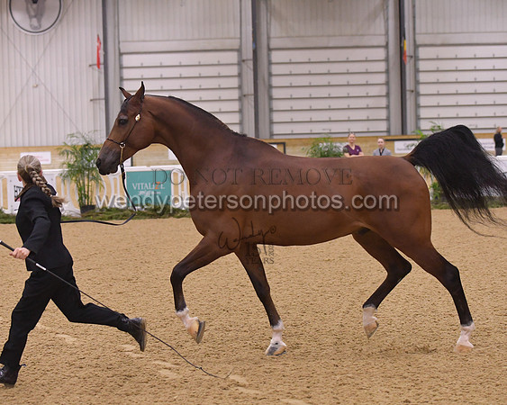 091_8802HighRes300dpi_PRINTto20%22