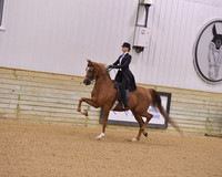 99 AHA Saddle Seat Medal JTR