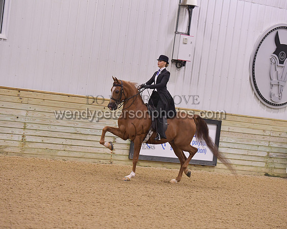099_8936HighRes300dpi_PRINTto20%22