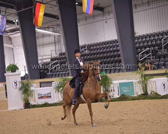 099_8961HighRes300dpi_PRINTto20%22
