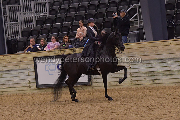 099_8964HighRes300dpi_PRINTto20%22