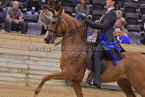 099_8977HighRes300dpi_PRINTto20%22
