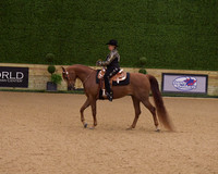 097a A/HA/AA Walk Trot western Pleasure 11 & U