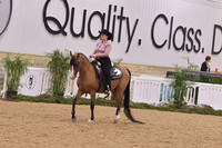 101 Western Seat Equitation JTR