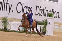 102 HA/AA Country English Pleasure ATR Select Rider