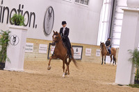 105 HA/AA English Pleasure ATR