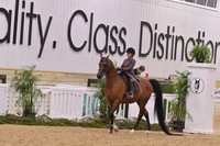 106 Walk Trot Pleasure All Seats 10 & Under