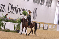 110 HA/AA Western Pleasure JTR