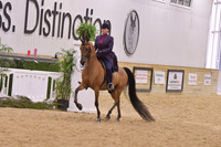 115 HA/AA Country English Pleasure AOTR