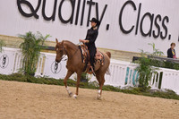 117 AHA Western Horsemanship Medal JTR