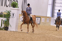 118 Arabian Hunter Pleasure JTR 15-18