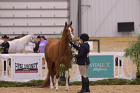 119 Halter Showmanship JTH