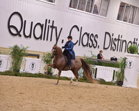 119A – HA/AA Park Horse ATR – Janell Register