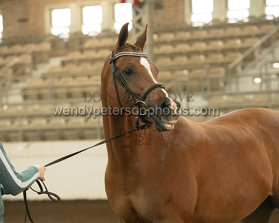 20126R115-0740-Do_not_copy_PROOF