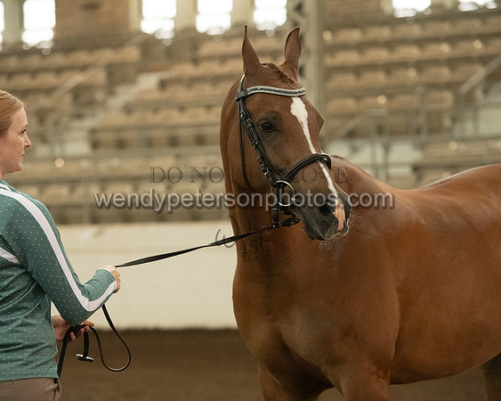 20126R115-0741-Do_not_copy_PROOF
