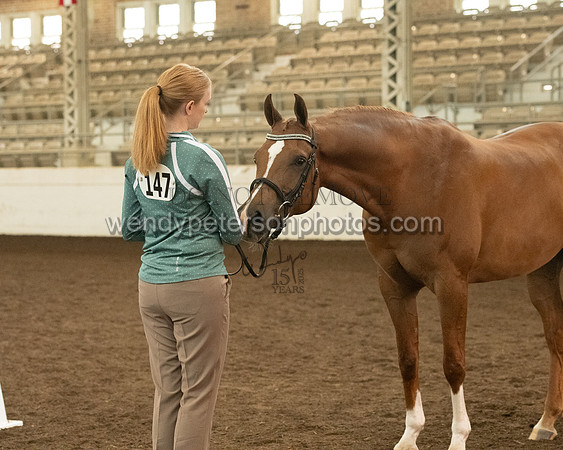 20126R115-0743-Do_not_copy_PROOF
