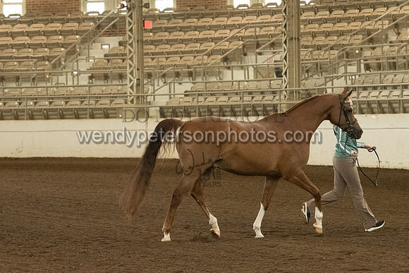 20126R115-0753-Do_not_copy_PROOF