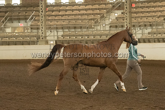 20126R115-0752-Do_not_copy_PROOF