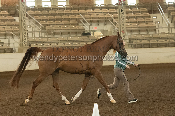 20126R115-0751-Do_not_copy_PROOF
