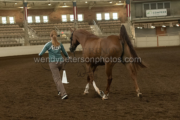 20126R115-0749-Do_not_copy_PROOF