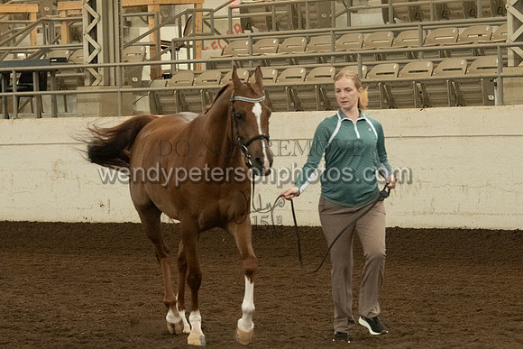 20126R115-0754-Do_not_copy_PROOF