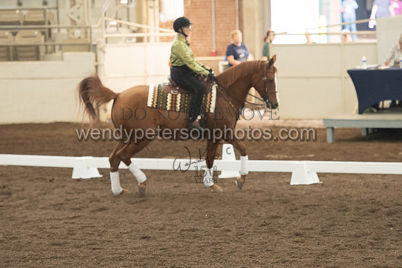 123_2450-Do_not_copy_PROOF