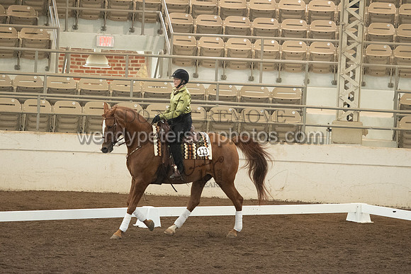 123_2461-Do_not_copy_PROOF