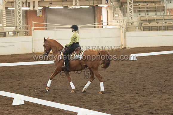 123_2455-Do_not_copy_PROOF