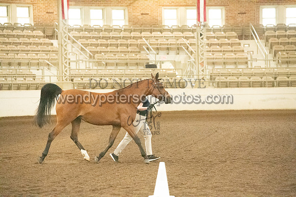 20126R115-0681-Do_not_copy_PROOF
