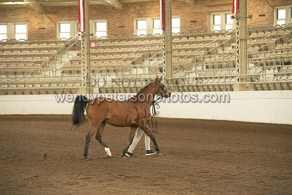 20126R115-0683-Do_not_copy_PROOF