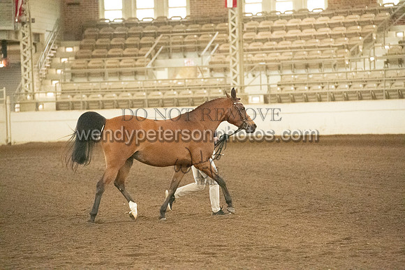 20126R115-0682-Do_not_copy_PROOF