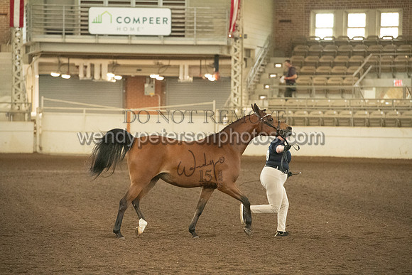 20126R115-0697-Do_not_copy_PROOF