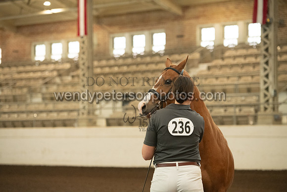 20126R115-0463-Do_not_copy_PROOF