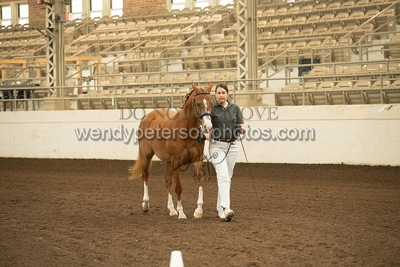 20126R115-0468-Do_not_copy_PROOF