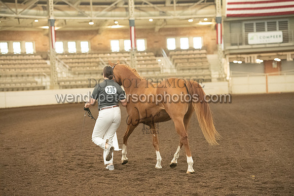 20126R115-0469-Do_not_copy_PROOF