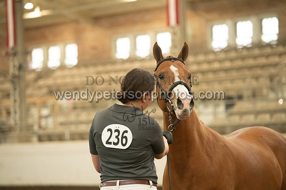 20126R115-0477-Do_not_copy_PROOF
