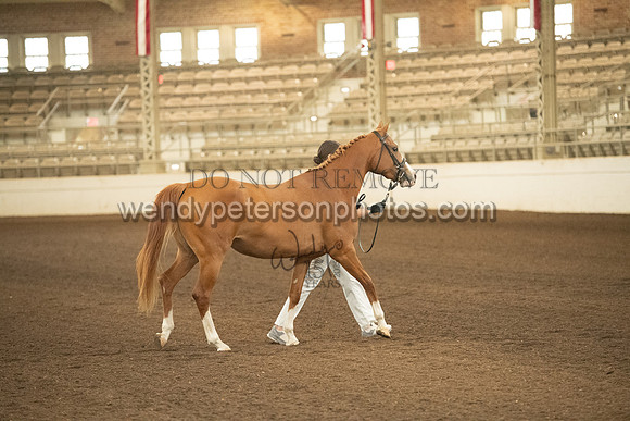 20126R115-0467-Do_not_copy_PROOF