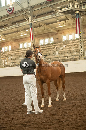 20126R115-0478-Do_not_copy_PROOF